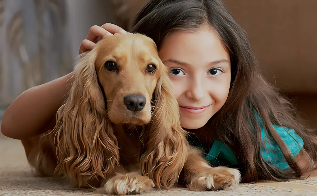 Aggieland Carpet Cleaning. 30% more weekly customers from reviews