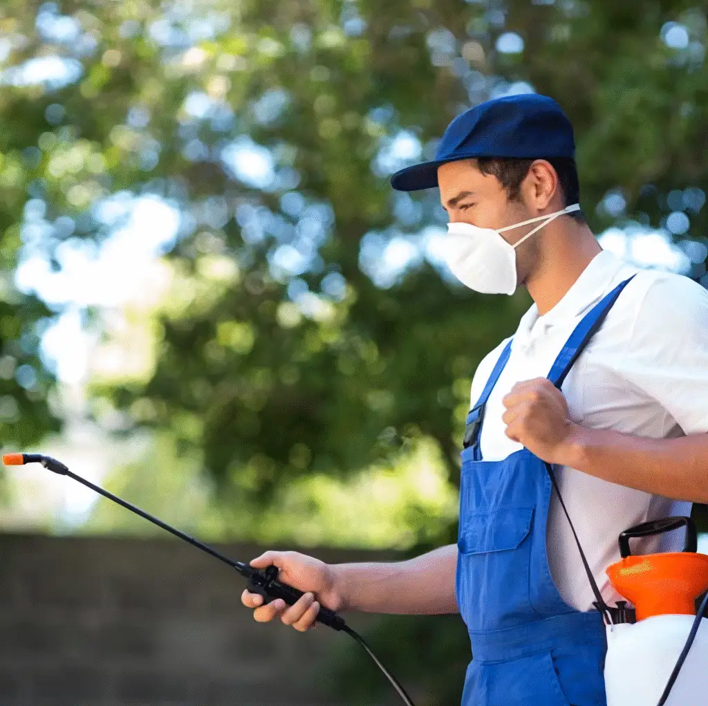 Bi-State Pest Control. 120% more calls from Local SEO